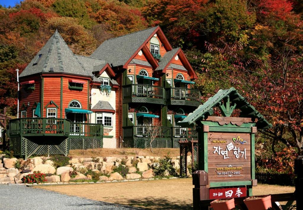 Gyeongju Jy Pension Exteriér fotografie